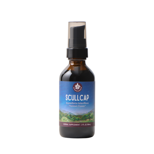 Scullcap