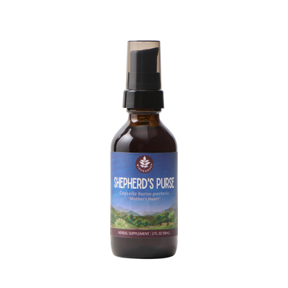 Shepherd's Purse