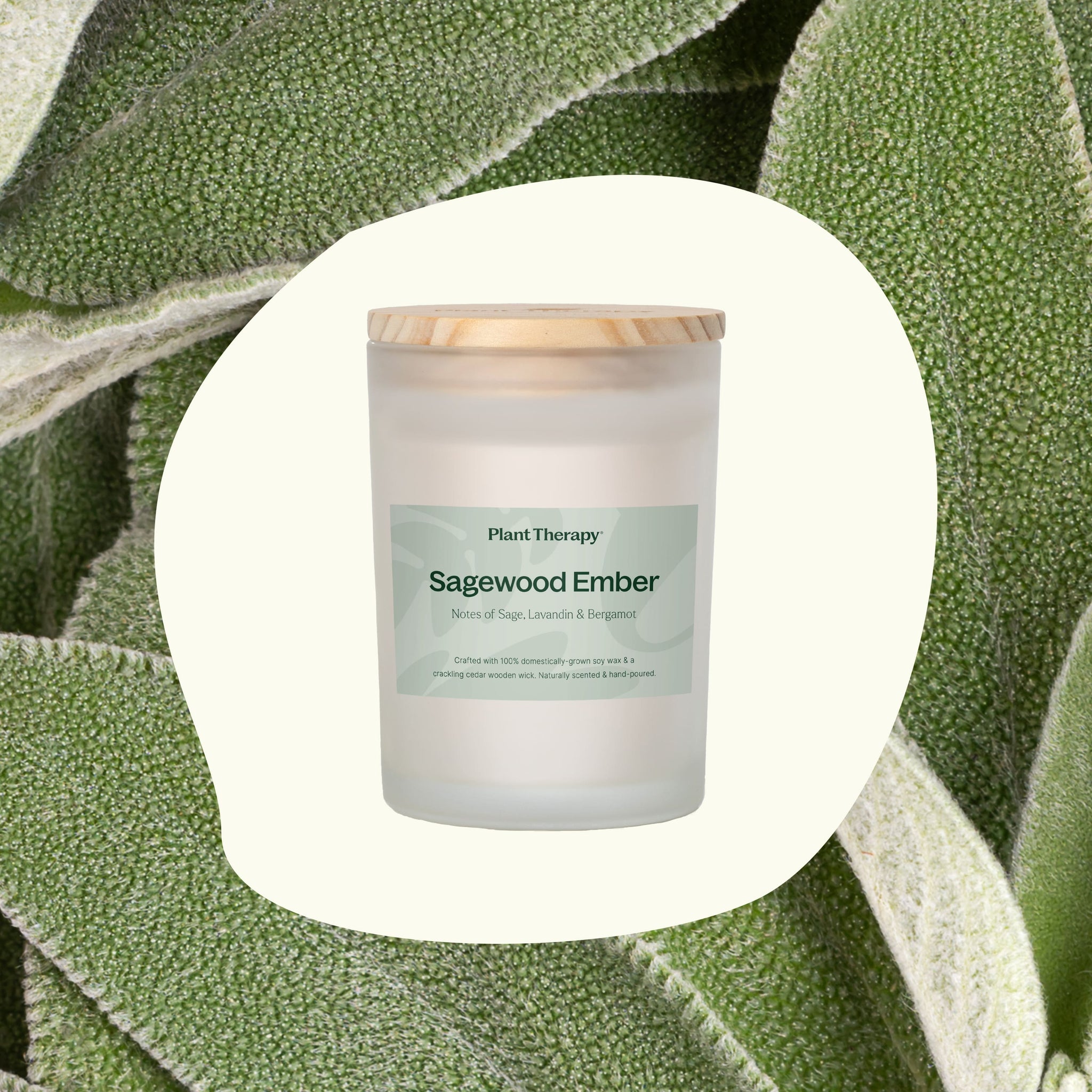 Sagewood Ember Naturally Scented Candle