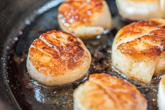 Coquilles Saint-Jacques de la côte Est