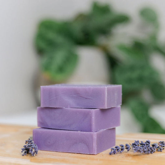 Lavender Shave Soap | Natural Soap | Una Biologicals