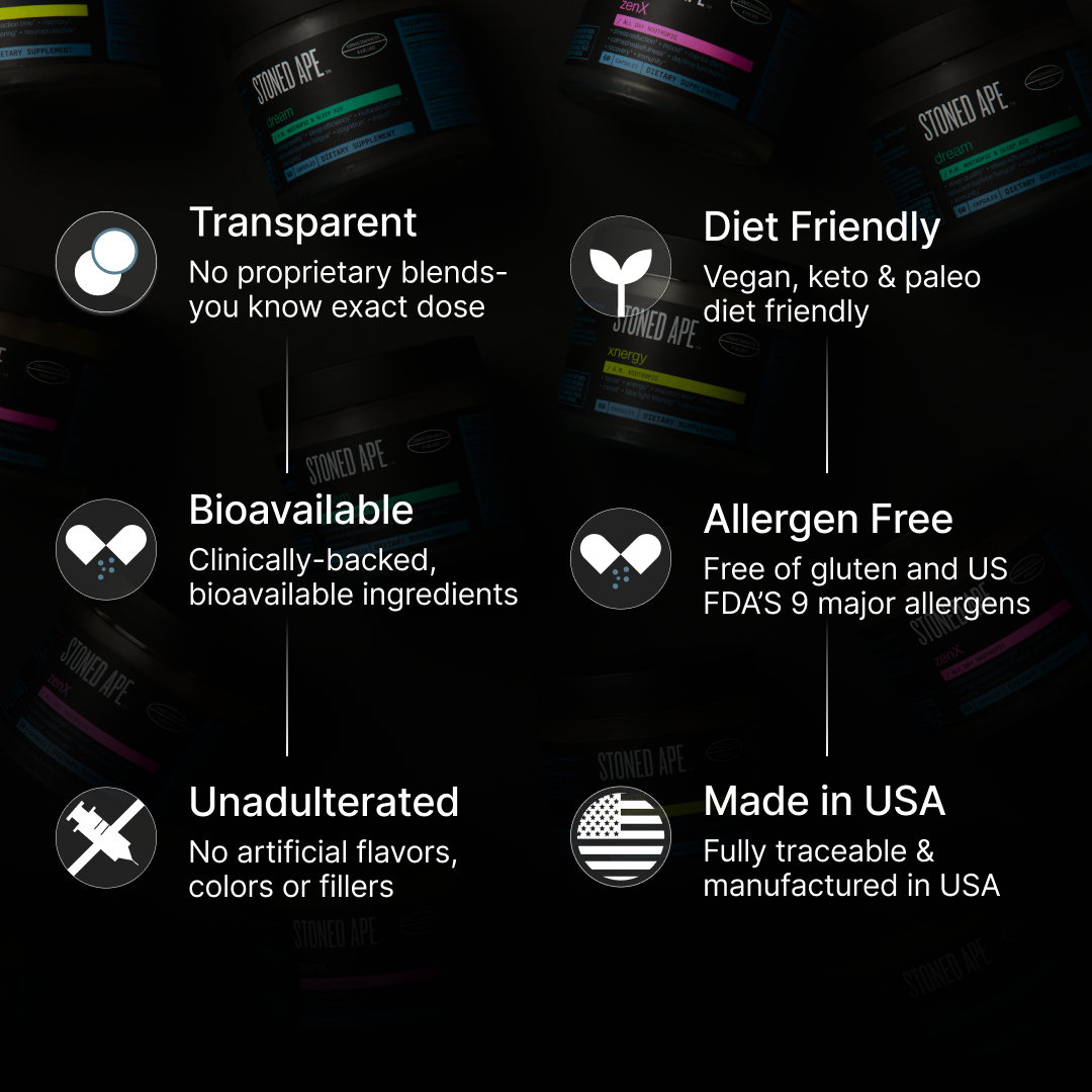 Nootropack: Our Nootropic Bundle