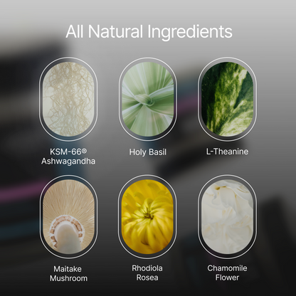 ZenX: Mood Support Nootropic