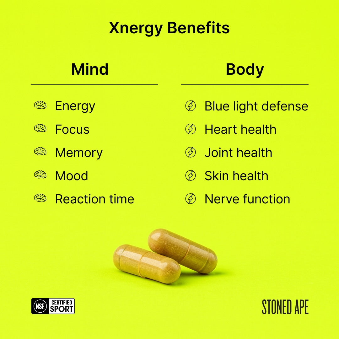 Paquete de energía tranquila (Xnergy + ZenX)