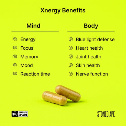 Paquete de energía tranquila (Xnergy + ZenX)
