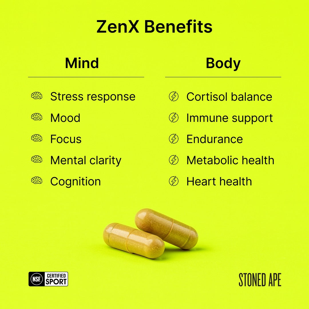 Paquete de energía tranquila (Xnergy + ZenX)