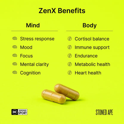 Paquete de energía tranquila (Xnergy + ZenX)
