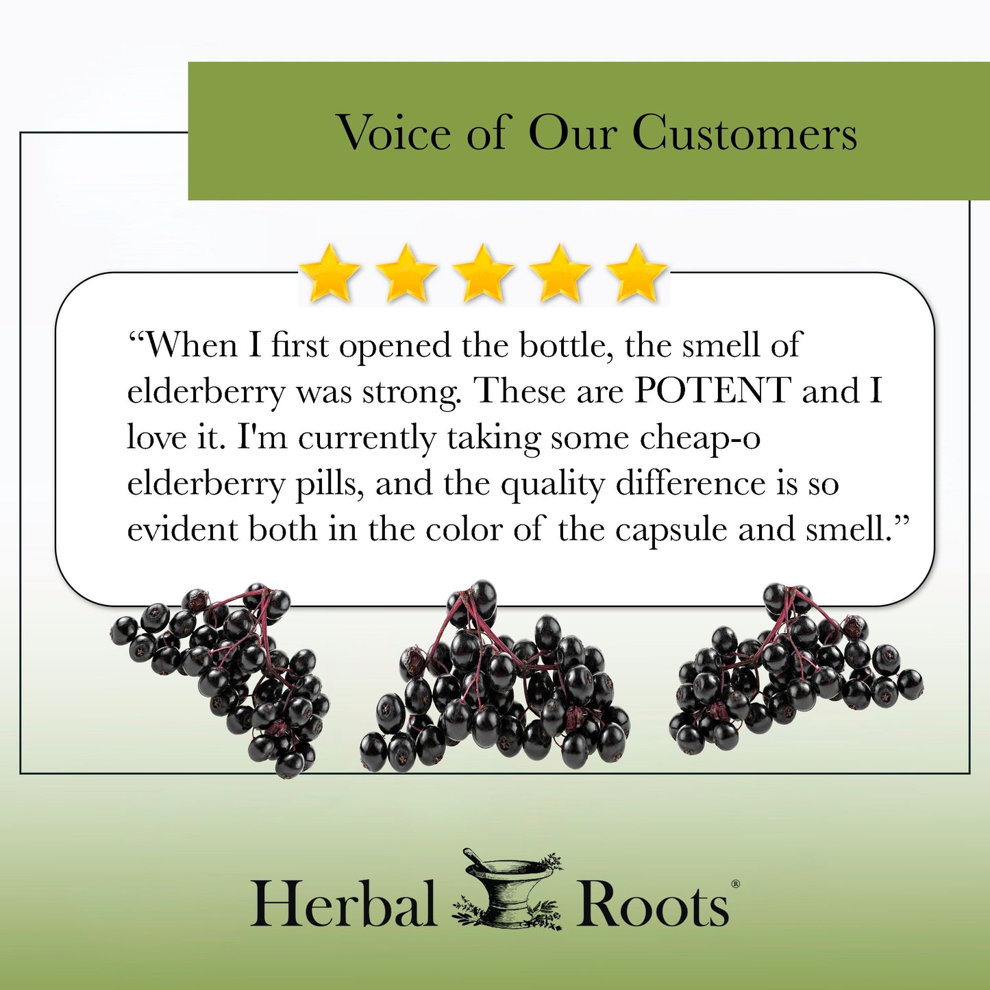 Organic Black Elderberry