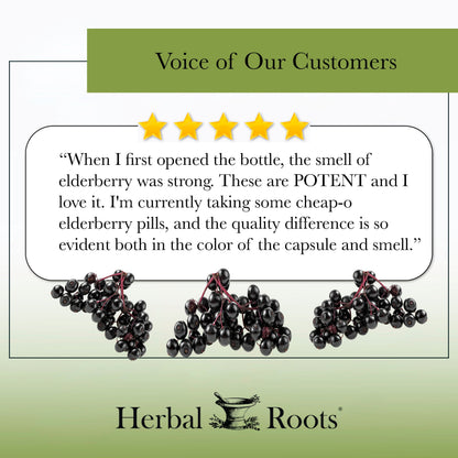 Organic Black Elderberry