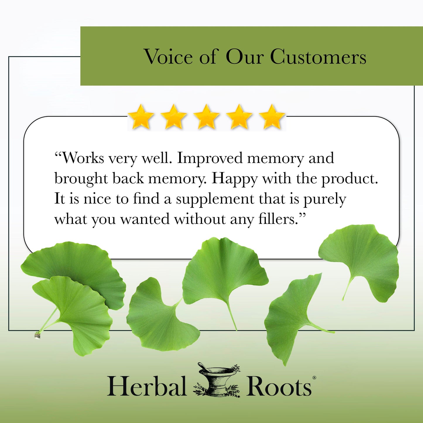Organic Ginkgo Biloba