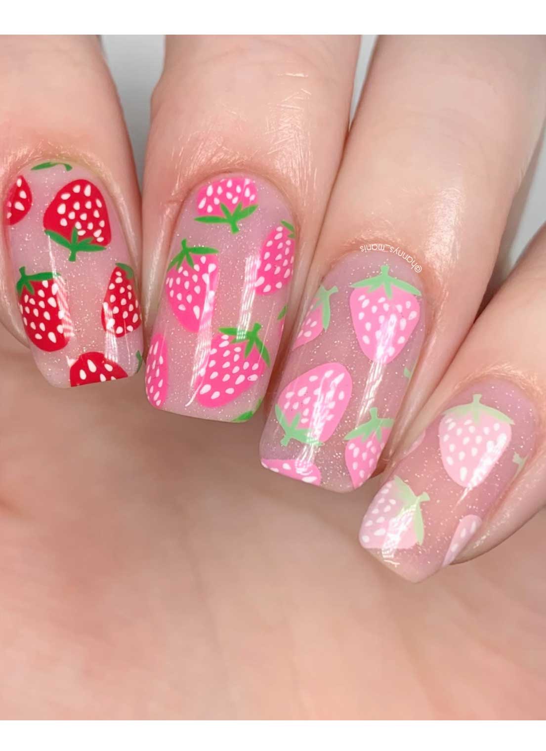 Seashells & Sunshine