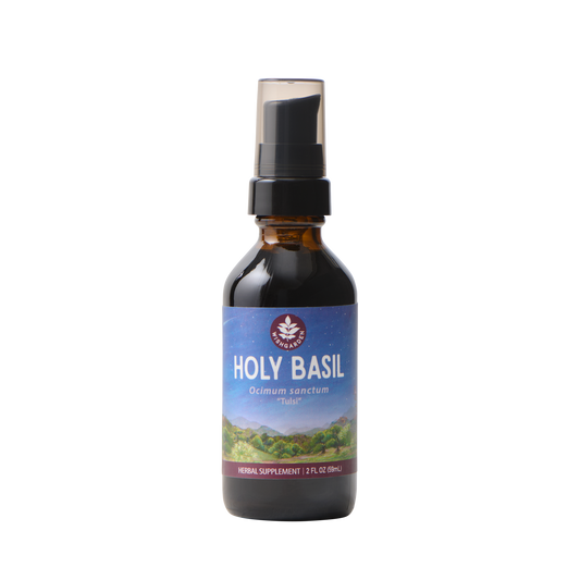 Holy Basil