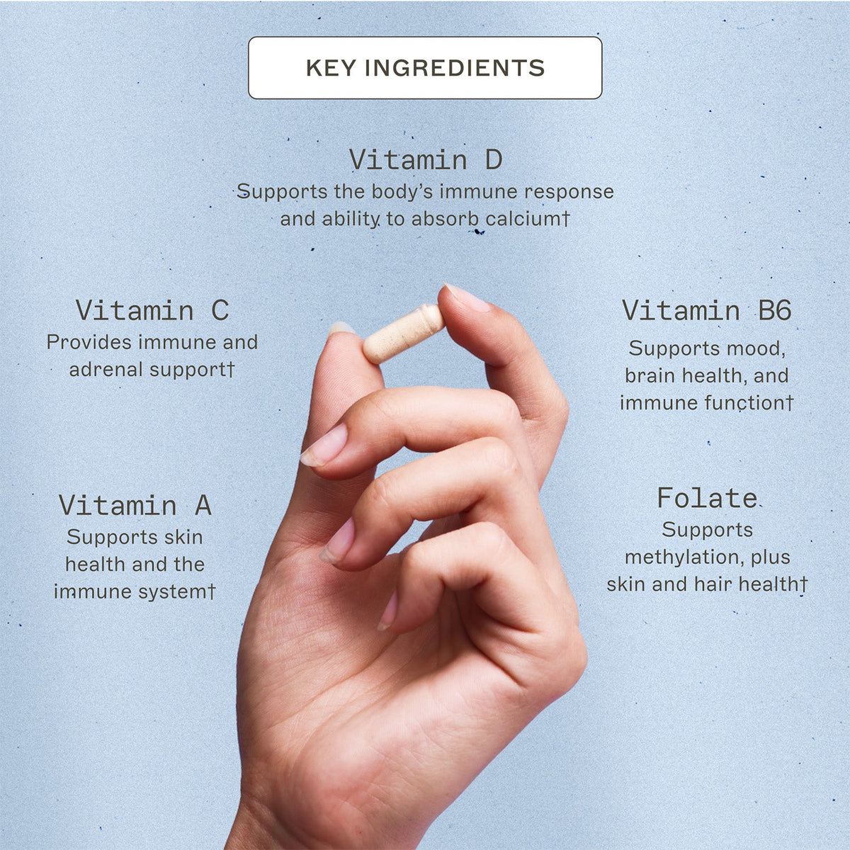 The Myers Way® Multivitamin