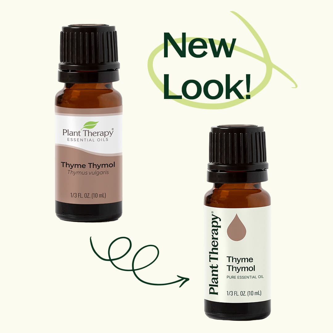 Thyme Thymol Essential Oil