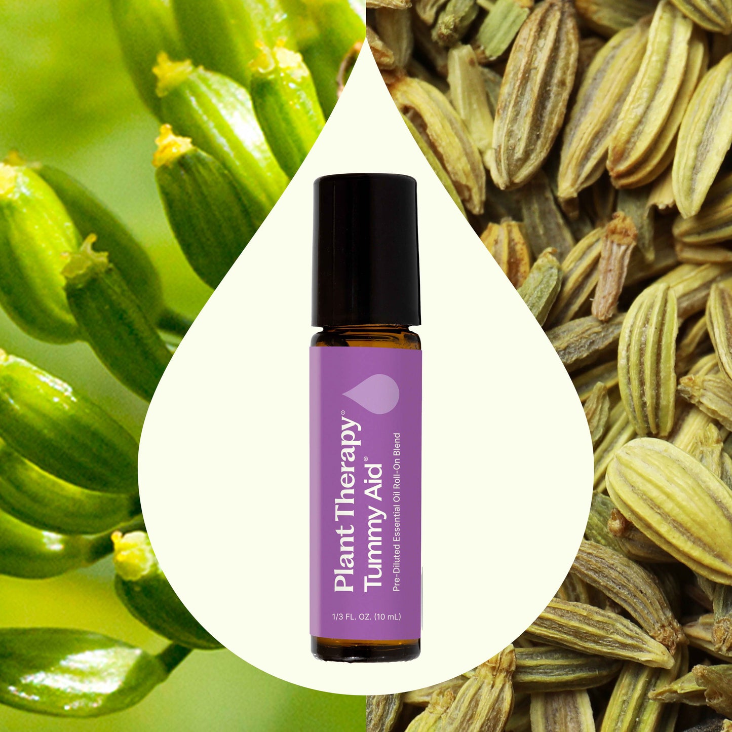 Tummy Aid Essential Oil Pre-Diluted Roll-On Blend