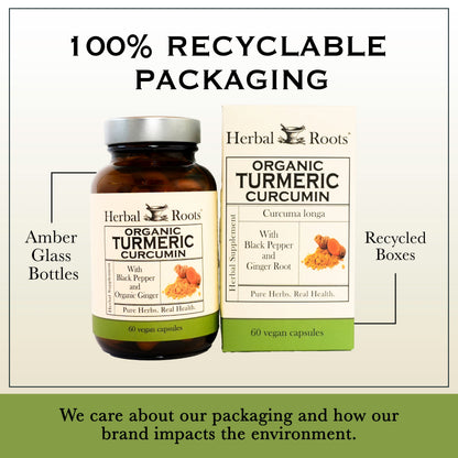 Turmeric Curcumin