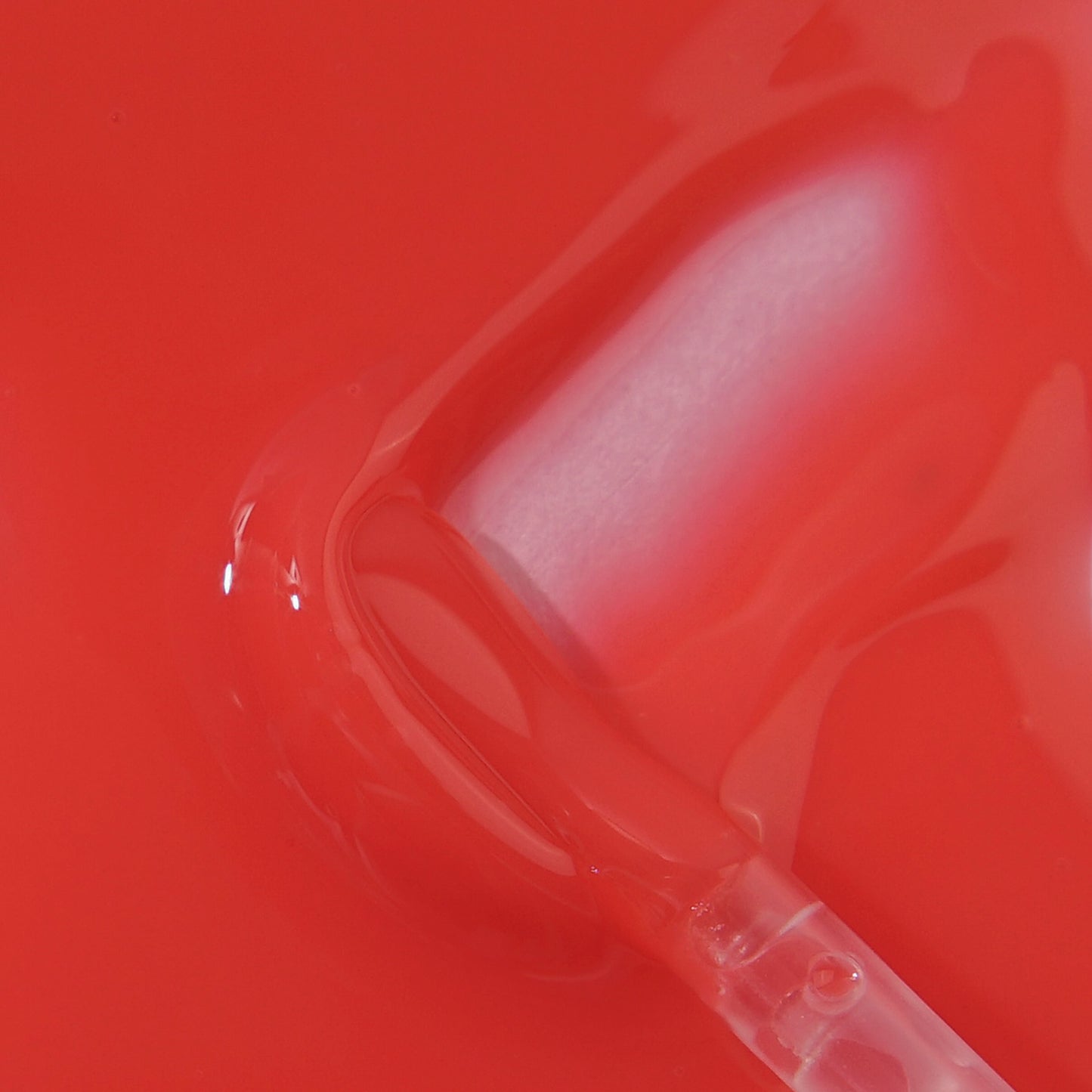 Gloss Gelée Lumineux Nourrissant