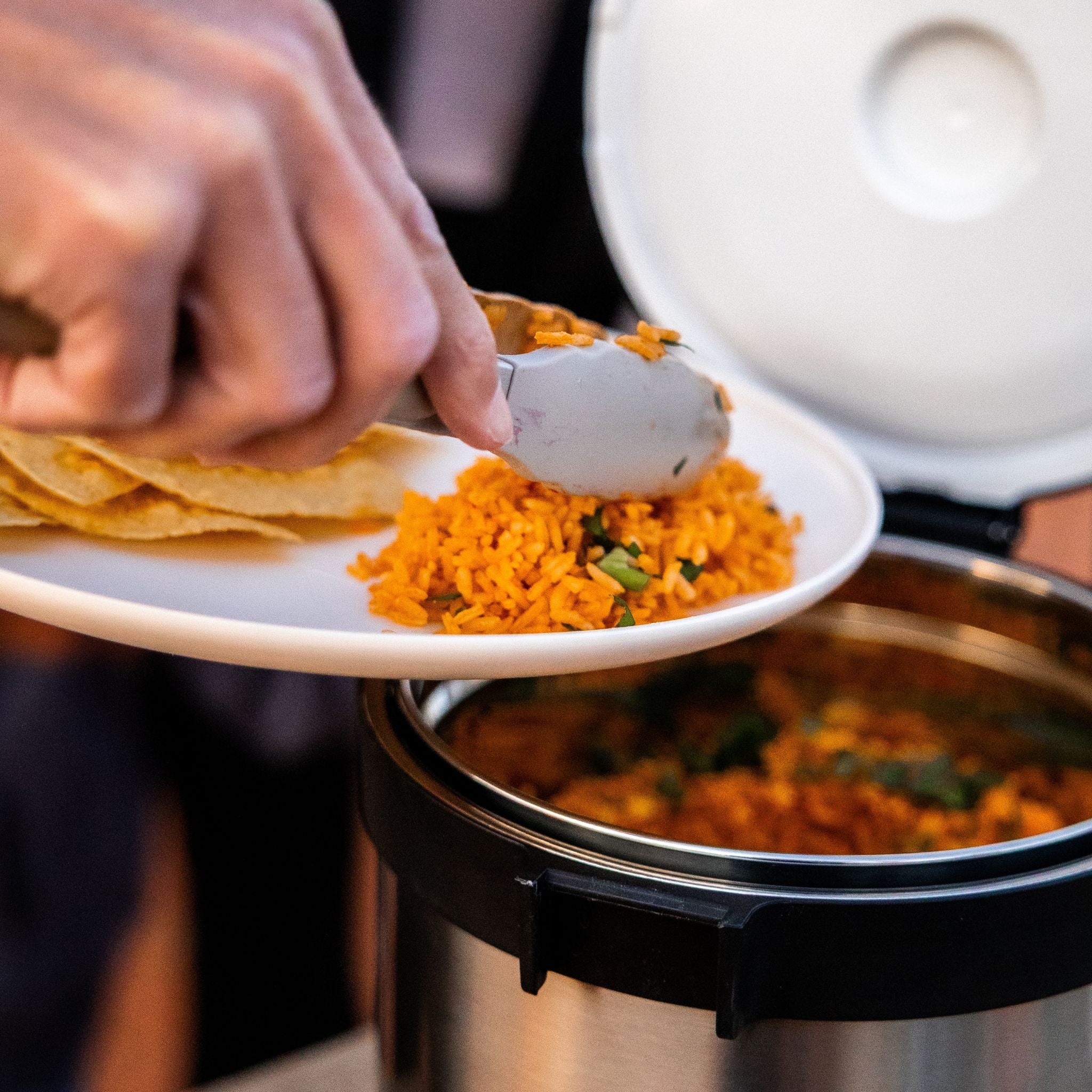 4QT RockPot Mini Bundle