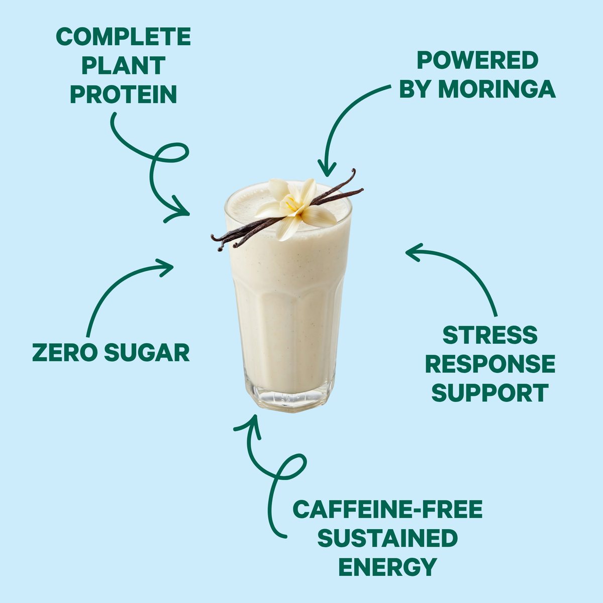 Energy Shake with Plant Protein (Creamy Vanilla)