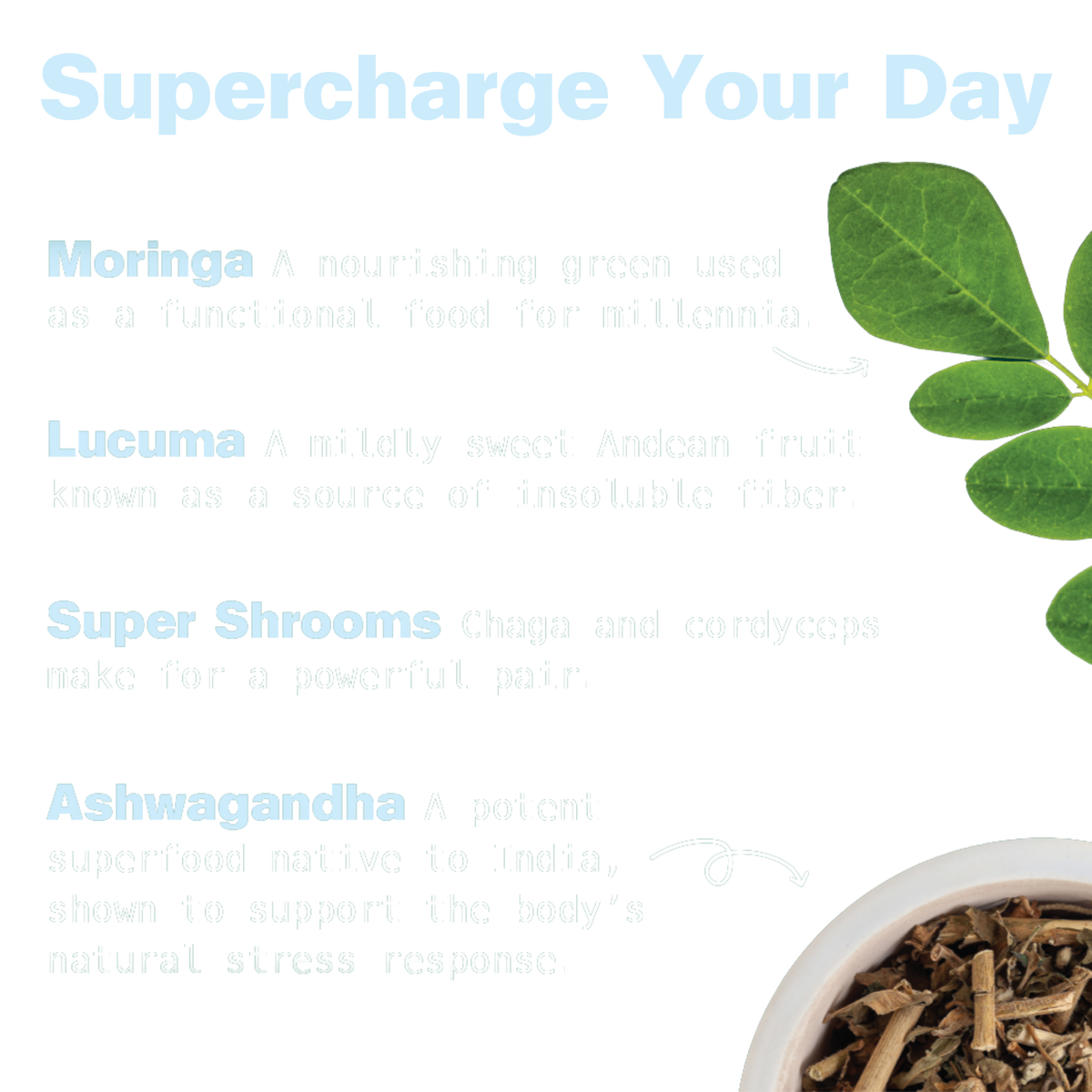 Energy Shake with Plant Protein (Creamy Vanilla)