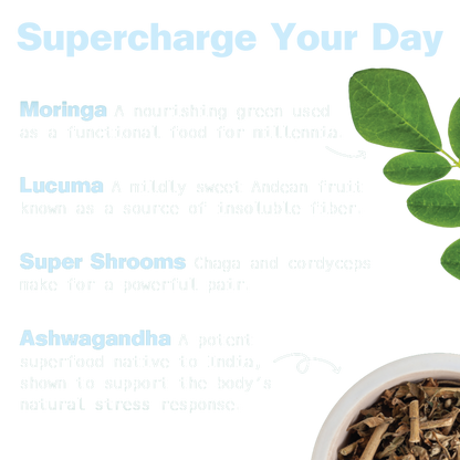 Energy Shake with Plant Protein (Creamy Vanilla)