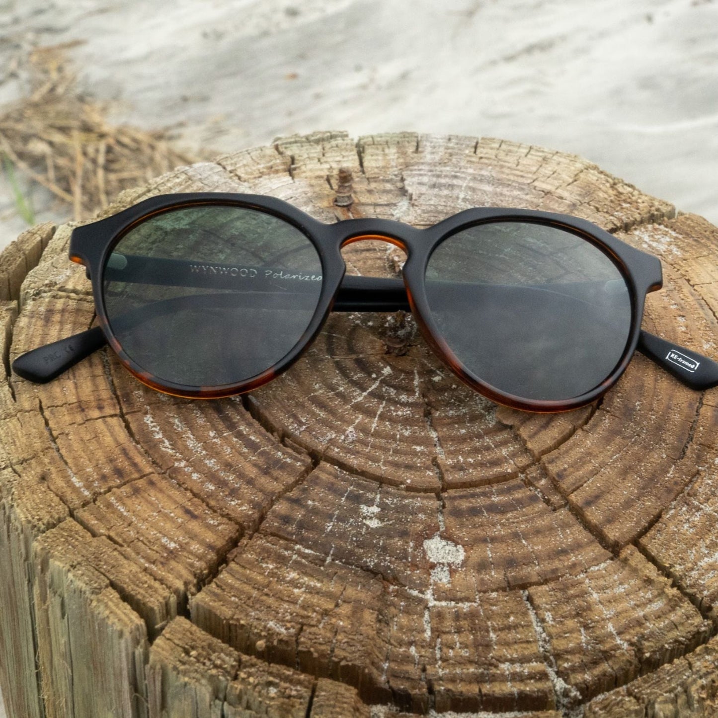Wynwood Sunglasses