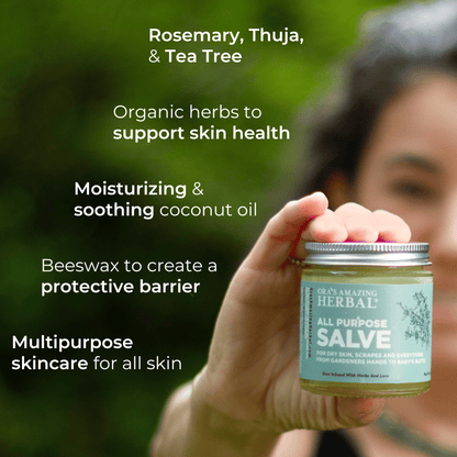 All Purpose Salve, Multipurpose Herbal Salve with Tea Tree