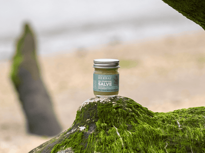 All Purpose Salve, Multipurpose Herbal Salve with Tea Tree