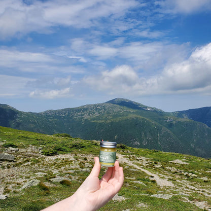 All Purpose Salve, Multipurpose Herbal Salve with Tea Tree