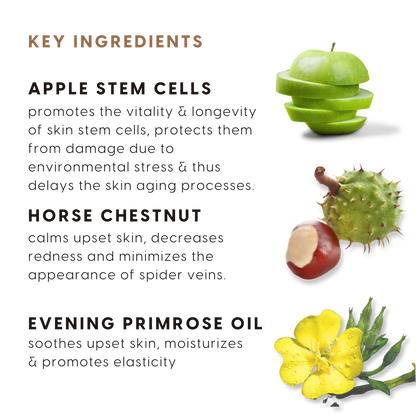 Apple Stem Cell Daily Radiance Cream spf 15