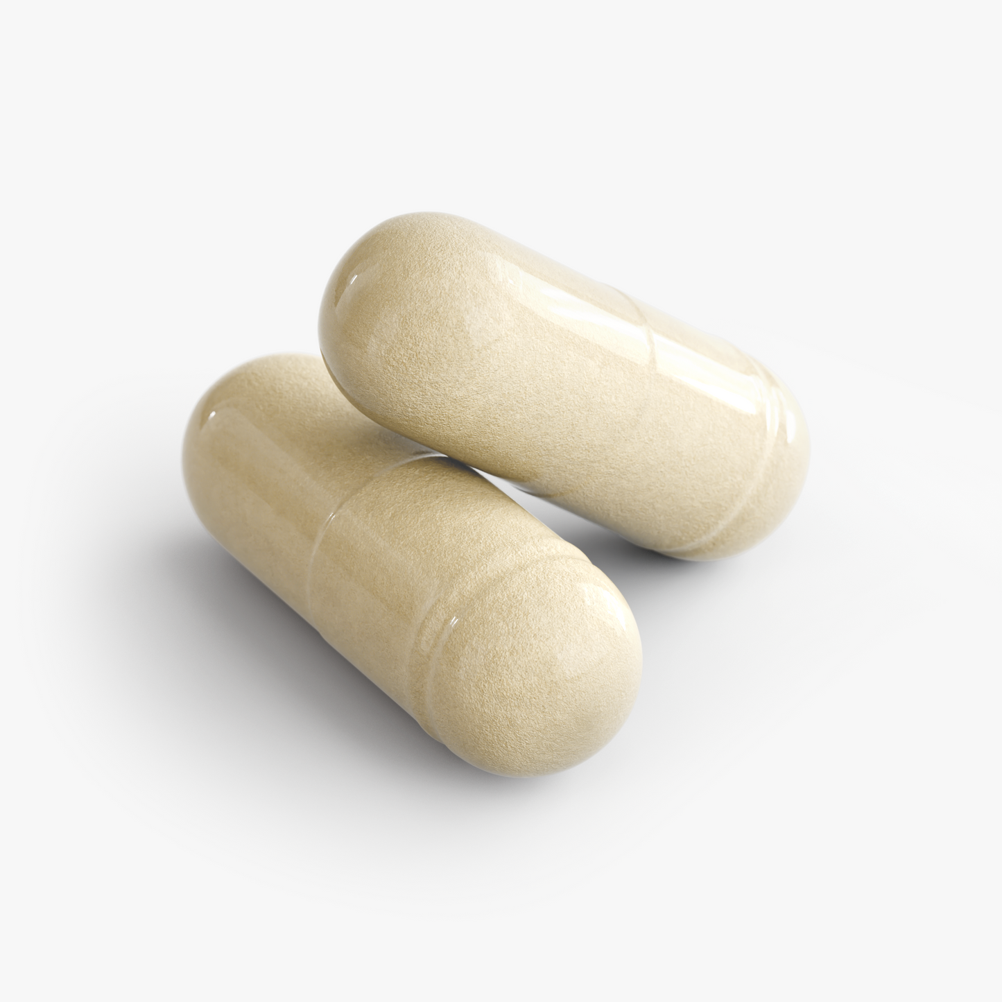 Biotex Probiotic & Enzyme Formula | 60 Count