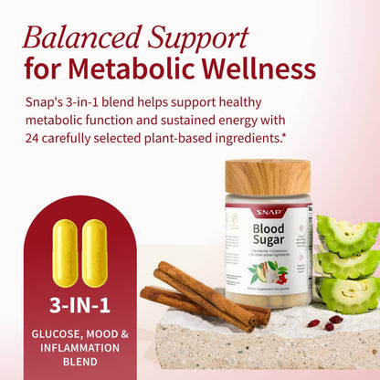 Blood Sugar & Cholesterol Health Bundle