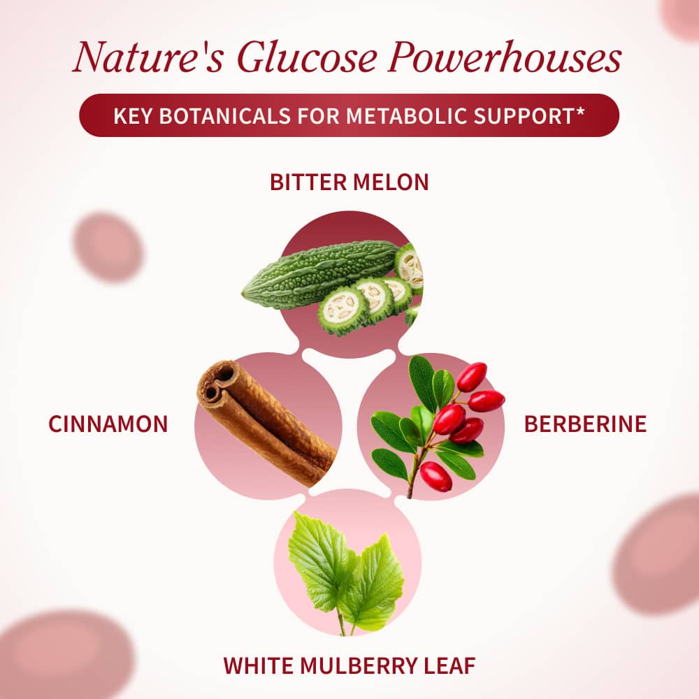 Ultimate Blood Sugar Health Bundle
