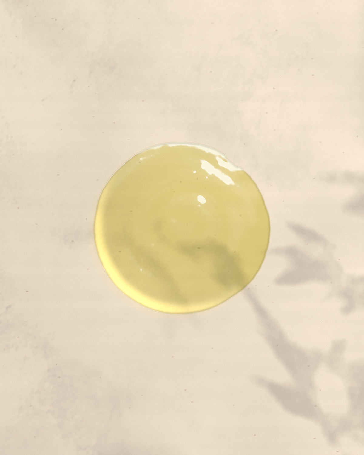 The Body Oil