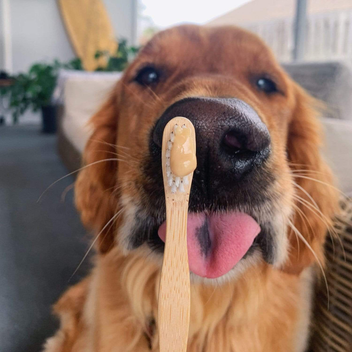 Bamboo Toothbrush - Child