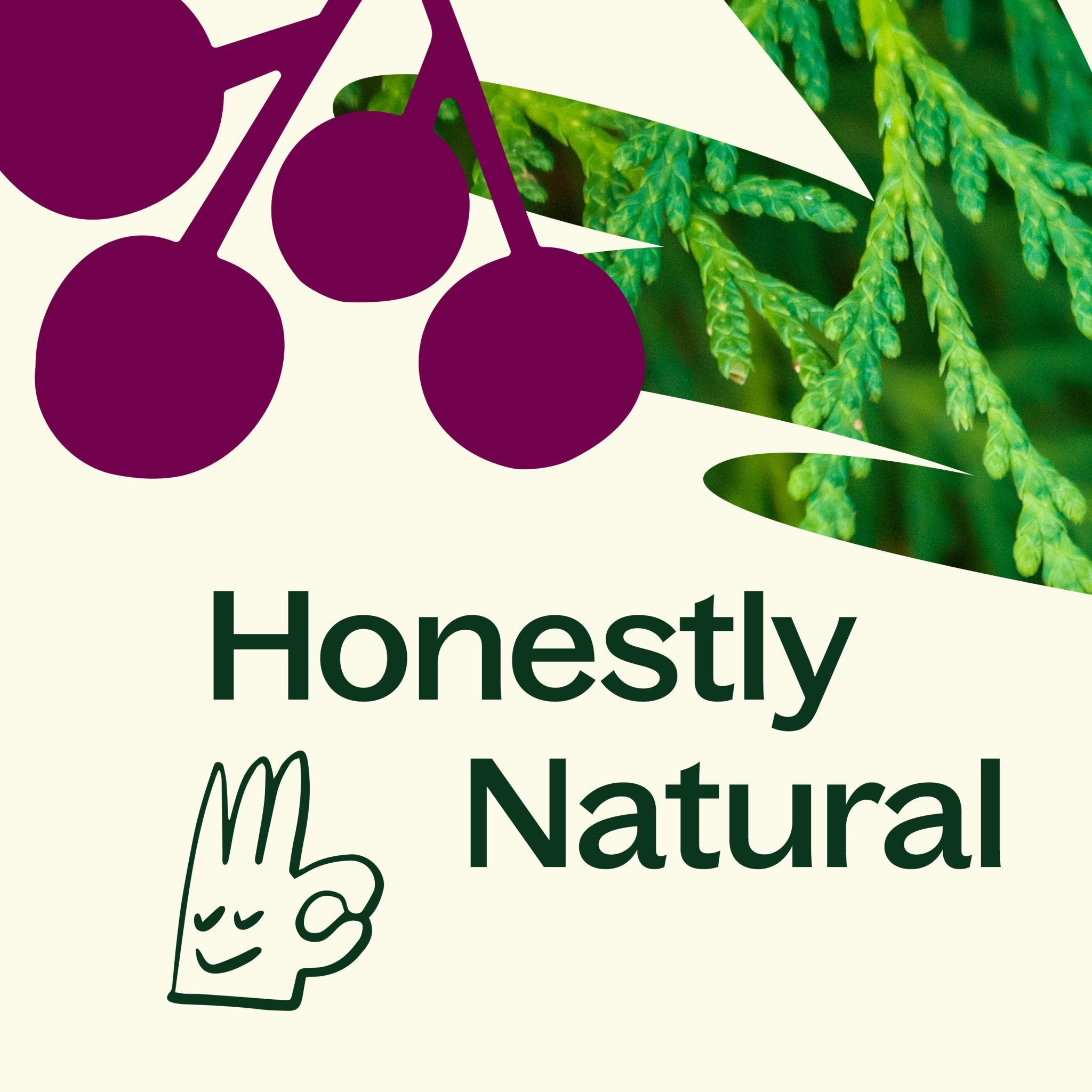 Cassis & Cedar Naturally Scented Candle | Daily Health & Beauty