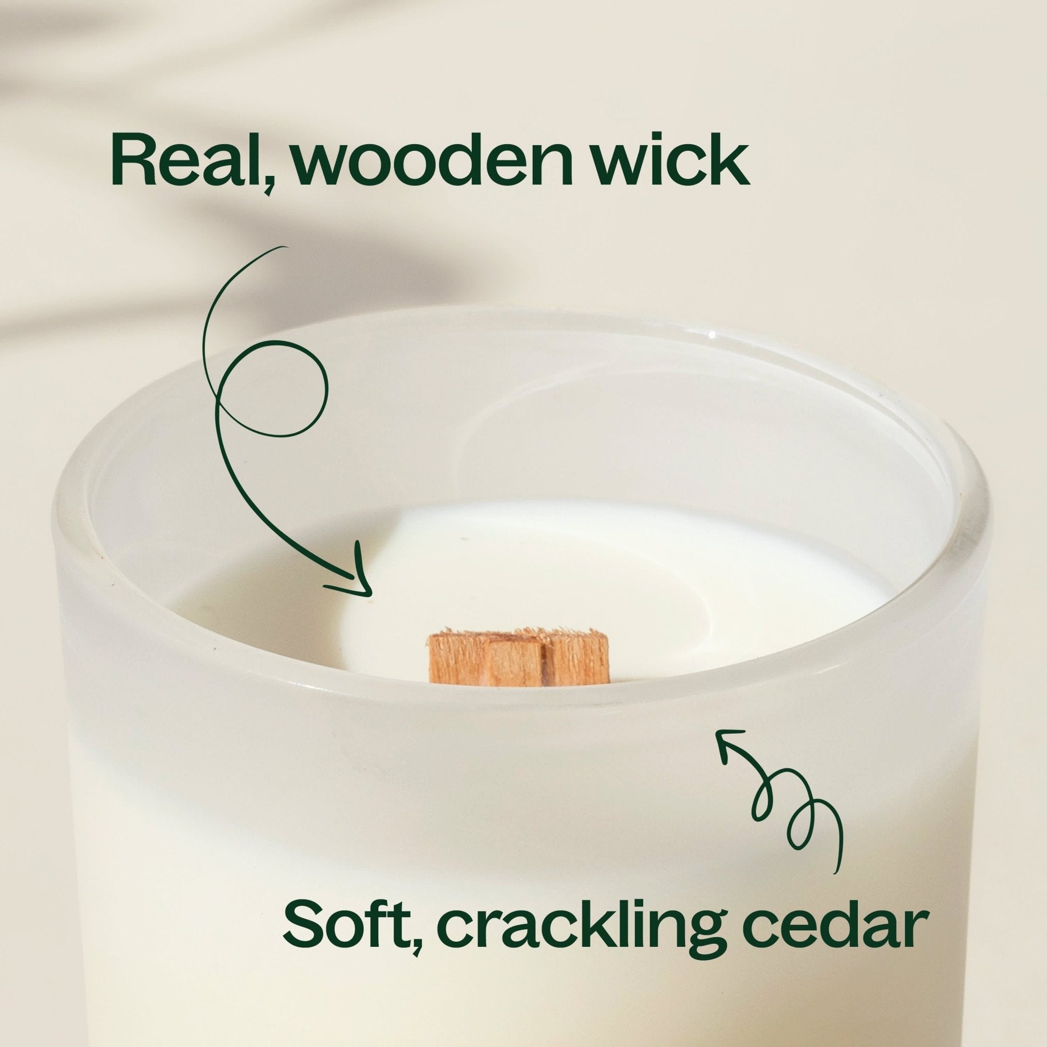 Cassis & Cedar Naturally Scented Candle | Daily Health & Beauty