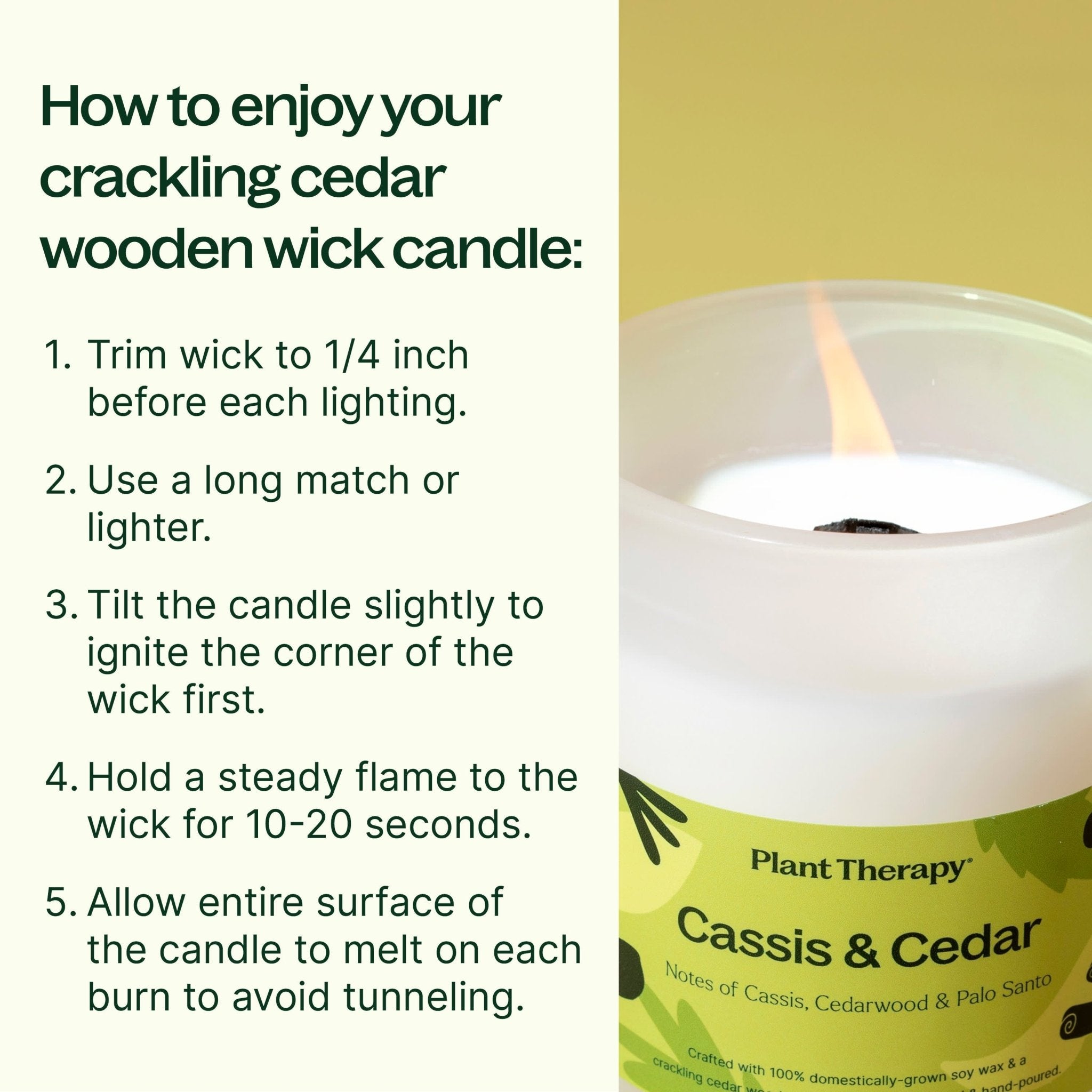 Cassis & Cedar Naturally Scented Candle | Daily Health & Beauty