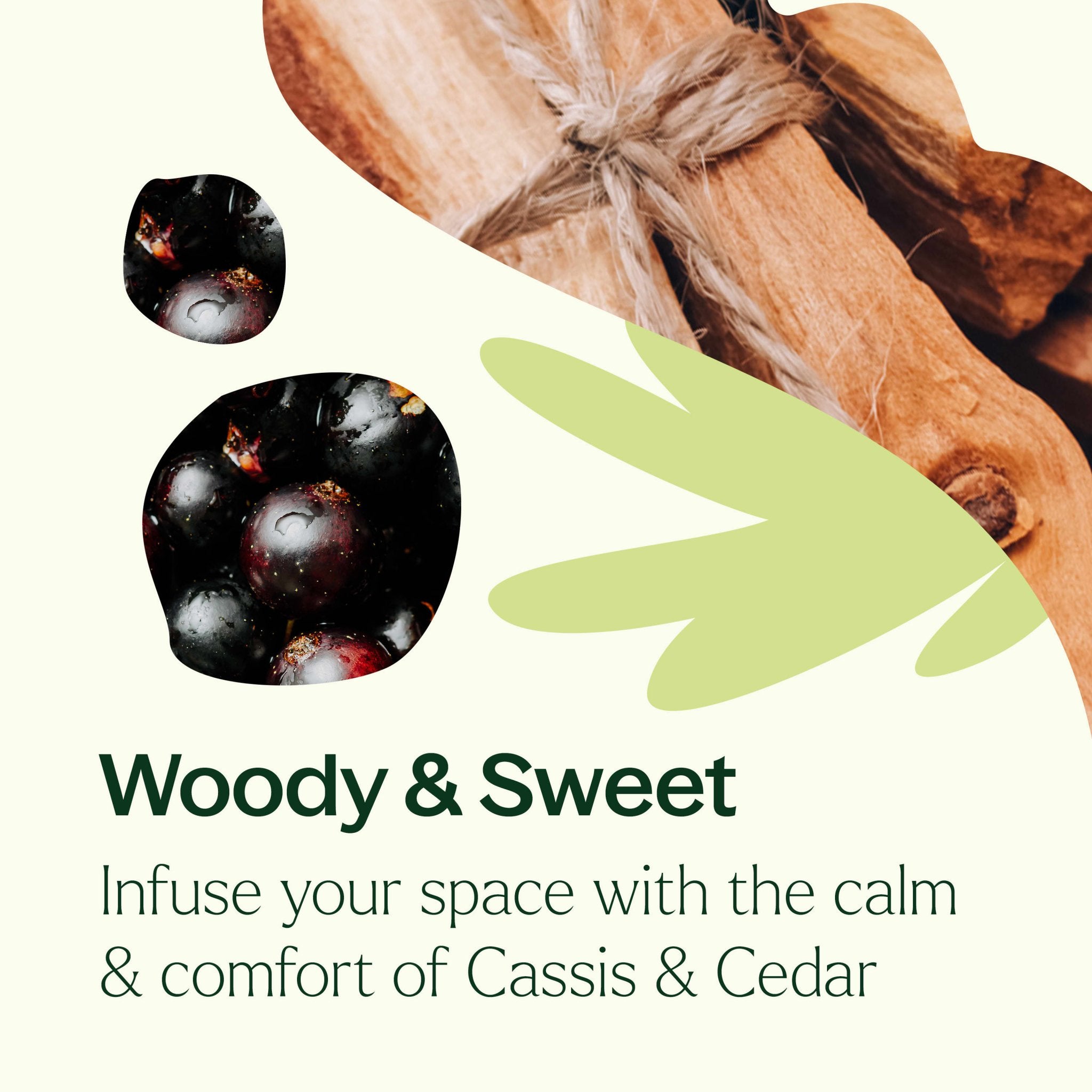 Cassis & Cedar Naturally Scented Candle | Daily Health & Beauty