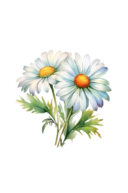 Chamomile Phthalate - Free Fragrance Oil