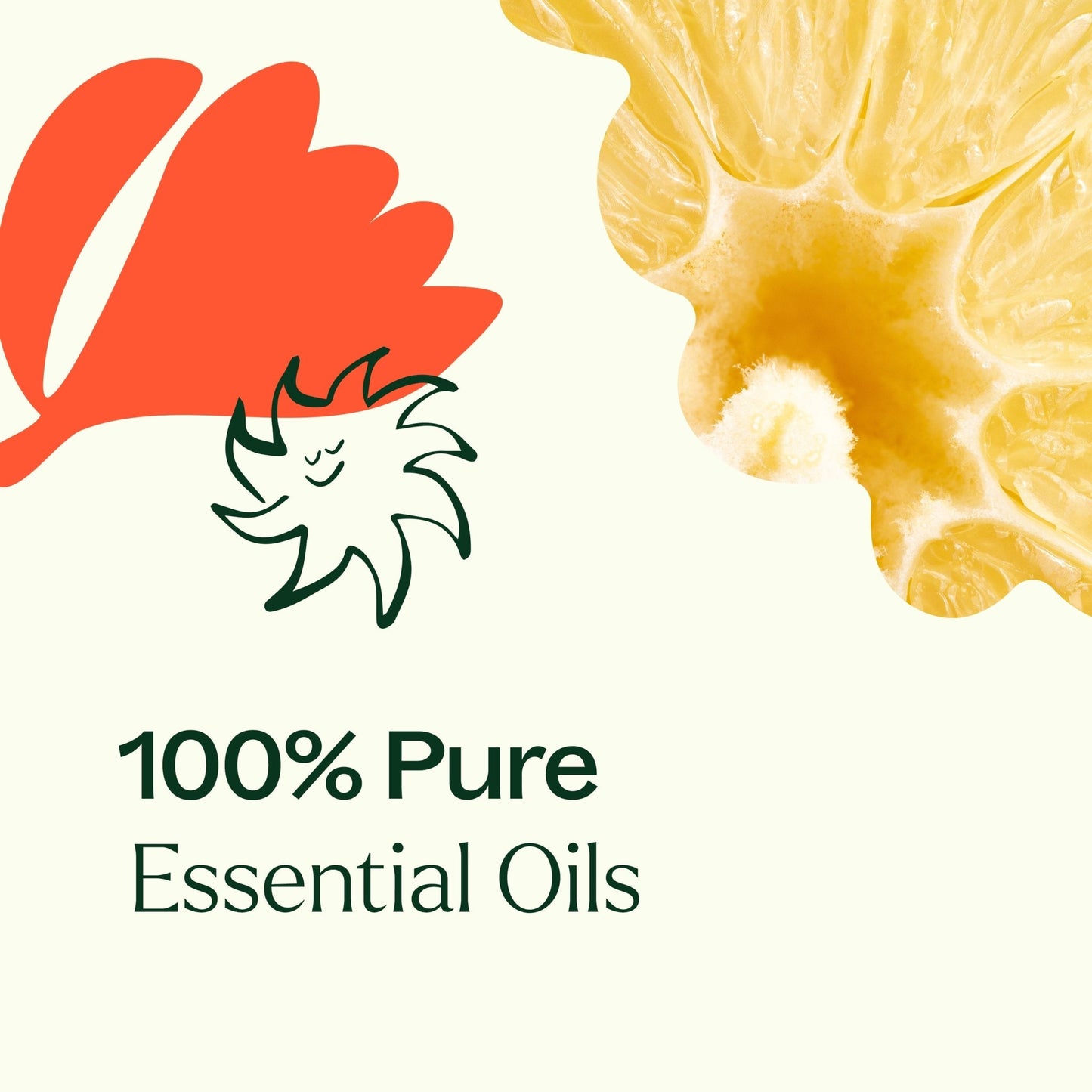 Citrus Burst Multi - Surface Cleaner 2 - Pack | Daily Health & Beauty