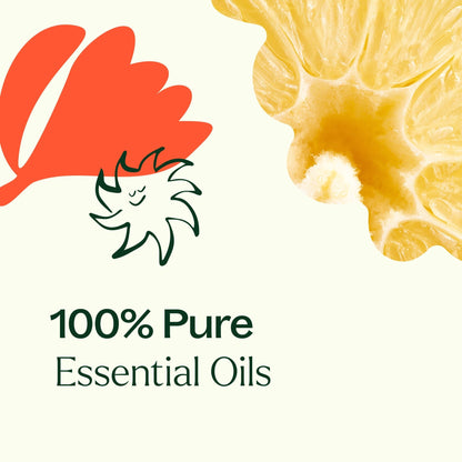 Citrus Burst Multi - Surface Cleaner 2 - Pack | Daily Health & Beauty