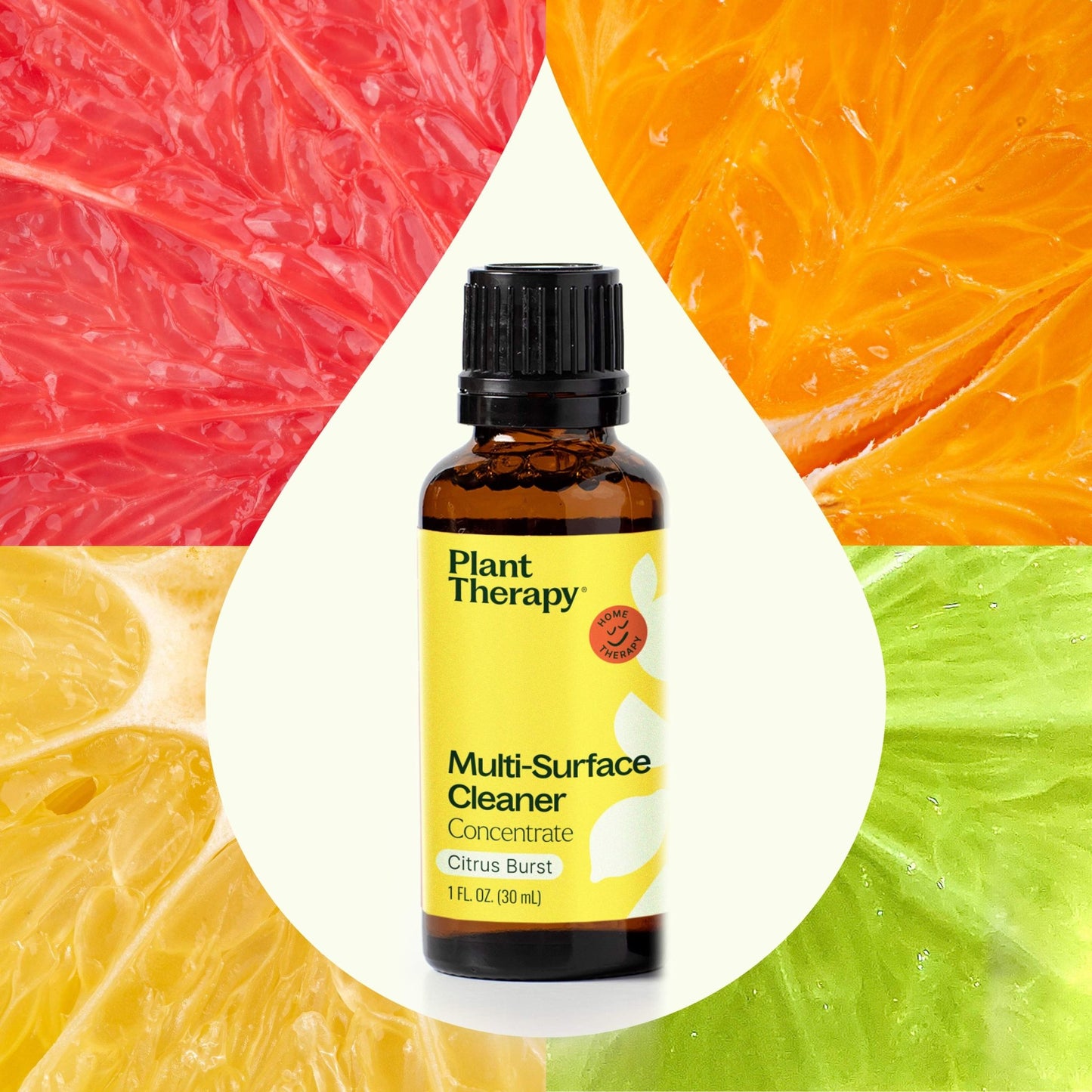 Citrus Burst Multi - Surface Cleaner 2 - Pack | Daily Health & Beauty