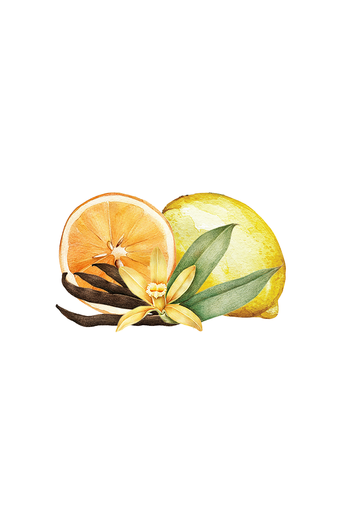 Room Spray | Citrus Vanilla