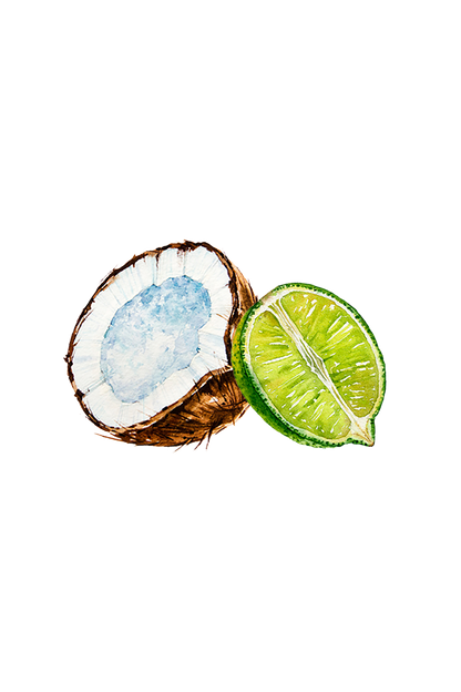 Coconut & Lime EO / FO Blend
