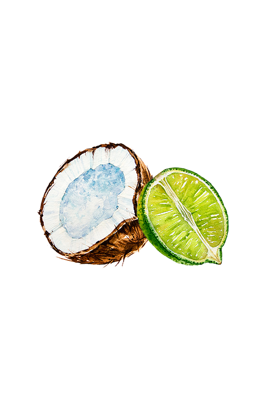 Coconut & Lime EO / FO Blend