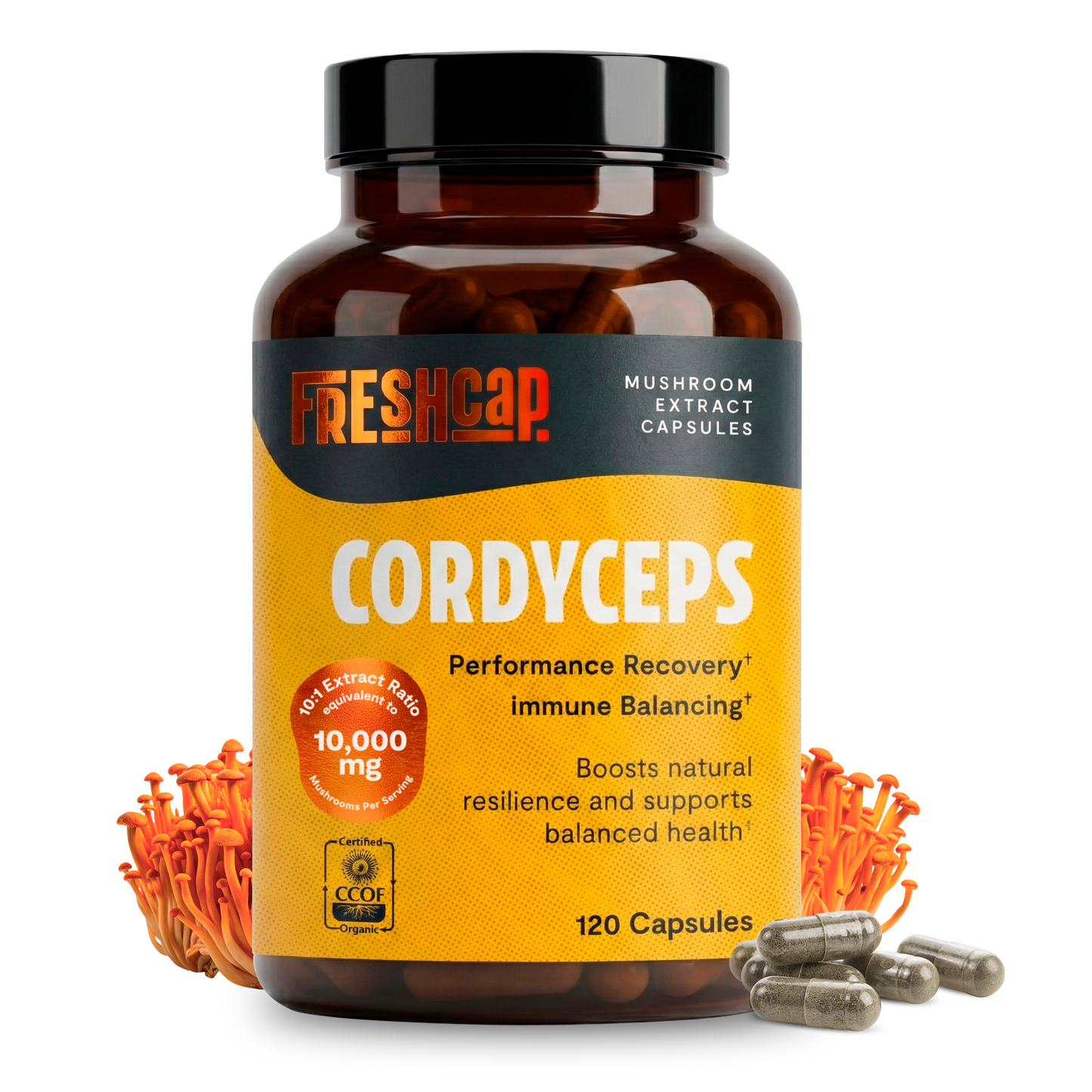 Capsules d'extrait de champignon Cordyceps