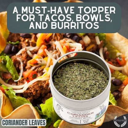 Coriander Leaves (Cilantro)