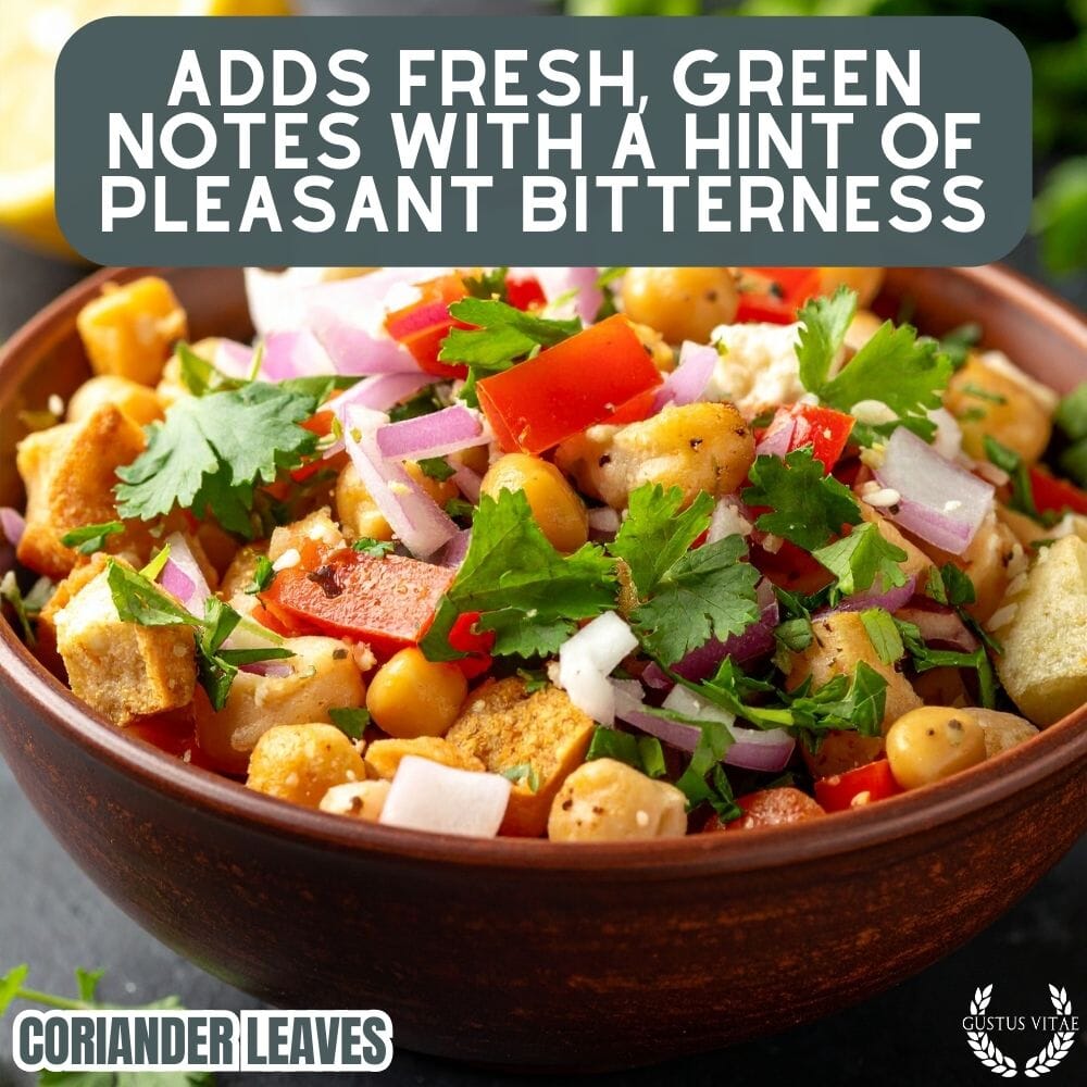 Coriander Leaves (Cilantro)