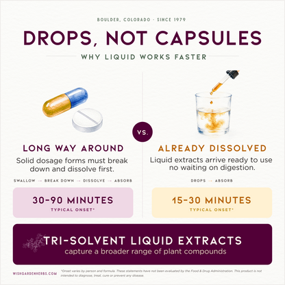 Genius Juice, Cognitive Aid